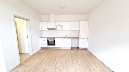 Pronájem bytu 1+kk 30 m², Brno-sever