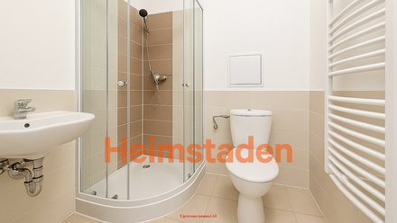 Pronájem bytu 1+1 28 m², Havířov-Šumbark - Havířov - Šumbark