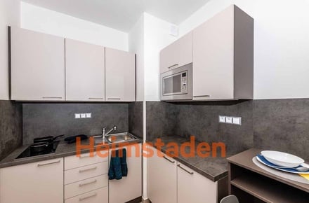 Pronájem bytu 2+1 45 m², Plzeň-Jižní Předměstí - Plzeň - Jižní předměstí