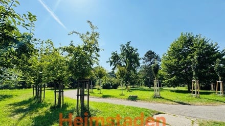 Pronájem bytu 3+1 73 m², Ostrava-Mar.Hory - Ostrava - Mariánské Hory