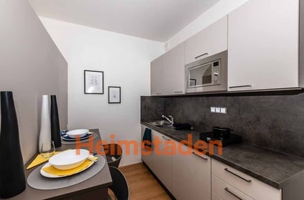 Pronájem bytu 1+kk 28 m², Plzeň-Jižní Předměstí - Plzeň - Jižní předměstí