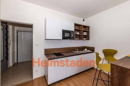 Pronájem bytu 1+kk 27 m², Plzeň-Jižní Předměstí - Plzeň - Jižní předměstí