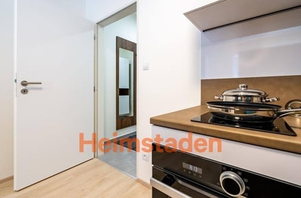 Pronájem bytu 1+kk 27 m², Plzeň-Jižní Předměstí - Plzeň - Jižní předměstí