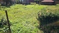 Prodej rodinného domu 205 m², Břidličná