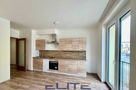 Pronájem bytu 2+kk 40 m², Liberec X-Františkov
