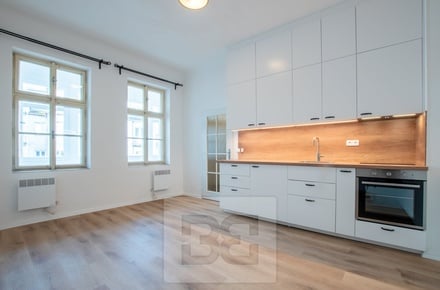 Pronájem bytu 1+kk 25 m², Praha - Podolí