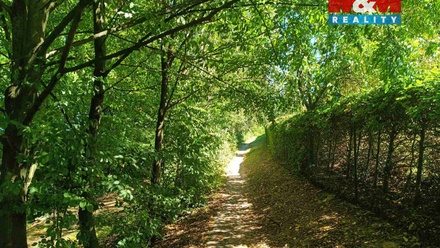 Prodej chaty 25 m², Rychnov nad Kněžnou