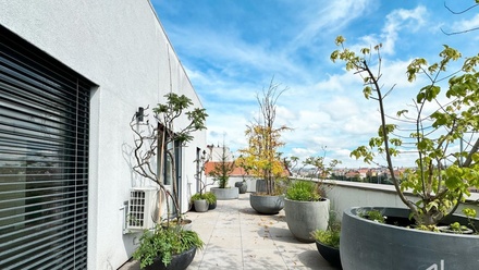 Pronájem bytu 2+kk 66 m², Praha 5, Smíchov