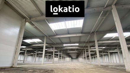 Pronájem výrobního prostoru 10 173 m², Ostrava - Hrušov