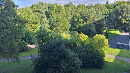 Pronájem bytu 1+kk 42 m², Hrabyně