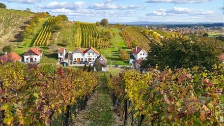 Prodej garáže 120 m², Mutěnice