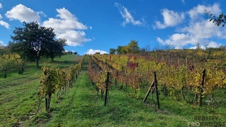 Prodej garáže 120 m², Mutěnice