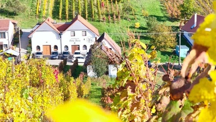 Prodej garáže 120 m², Mutěnice