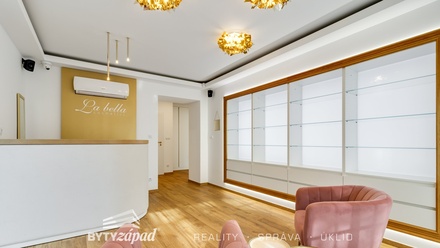 Prodej obchodního prostoru 72 m², Plzeň - Severní Předměstí