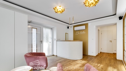 Prodej obchodního prostoru 72 m², Plzeň - Severní Předměstí