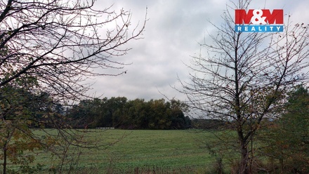 Prodej louky 2 513 m², Petrovice