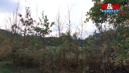 Prodej louky 2 513 m², Petrovice