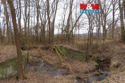 Prodej louky 2 513 m², Petrovice