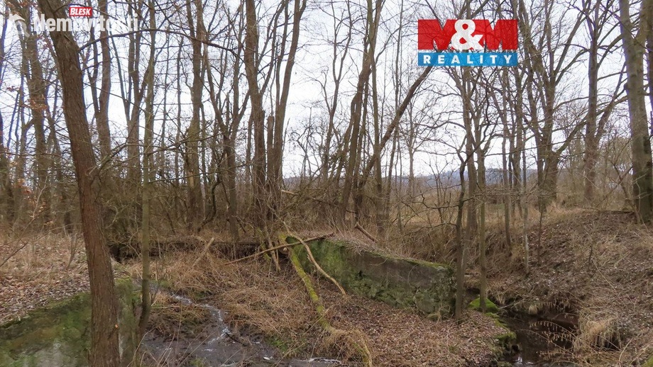 Prodej louky 2 513 m², Petrovice