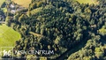Prodej lesa 30 343 m², Šimonovice
