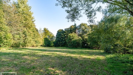 Prodej lesa 30 343 m², Šimonovice