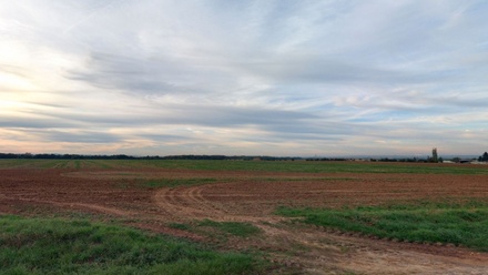 Prodej pole 880 m², Tupadly