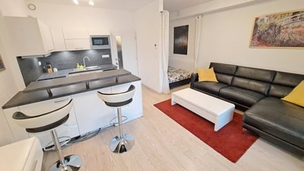 Pronájem bytu 1+kk 35 m², Brno - Pisárky