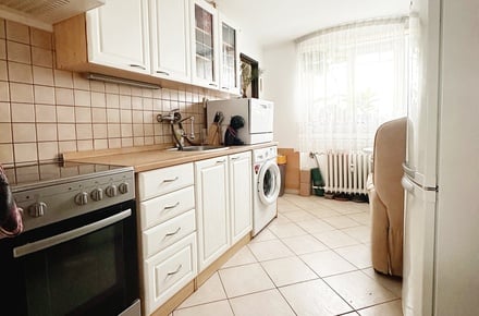 Pronájem bytu 1+1 52 m², Praha - Smíchov