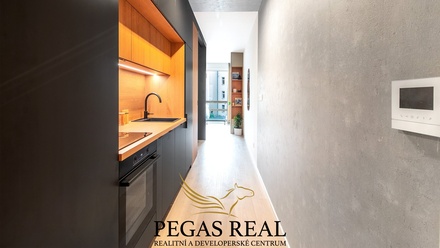 Prodej bytu 1+kk 52 m², Brno - Trnitá