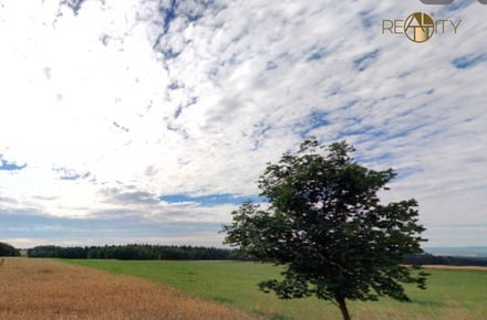 Prodej komerčního pozemku 4 425 m², Zavidov