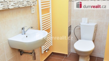 Pronájem bytu 1+kk 17 m², Kladno