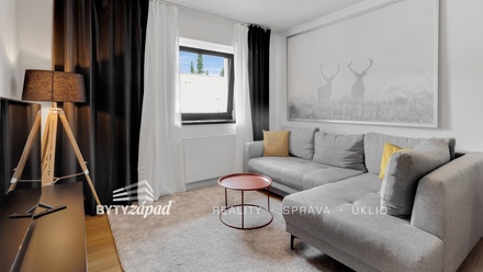 Prodej bytu 2+kk 40 m², Čachrov - Javorná