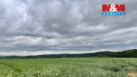 Prodej pole 22 965 m², Měcholupy