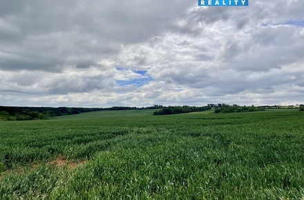 Prodej pole 22 965 m², Měcholupy