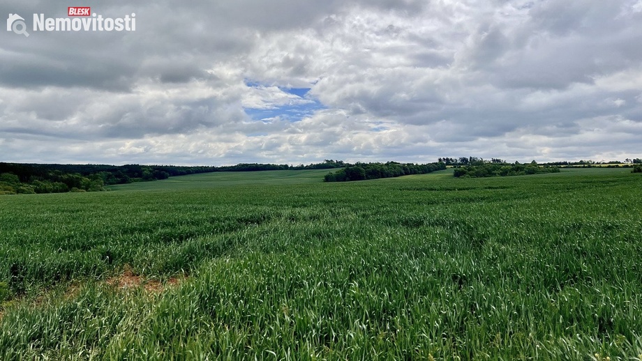 Prodej pole 22 965 m², Měcholupy