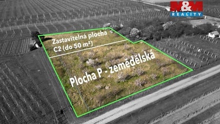 Prodej stavebního pozemku 2 462 m², Dobšice