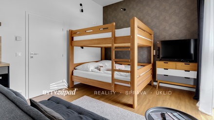 Prodej bytu 1+kk 34 m², Čachrov - Javorná