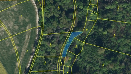 Prodej lesa 562 m², Řepníky