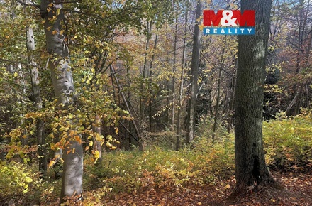 Prodej lesa 562 m², Řepníky