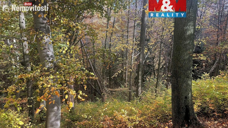 Prodej lesa 562 m², Řepníky