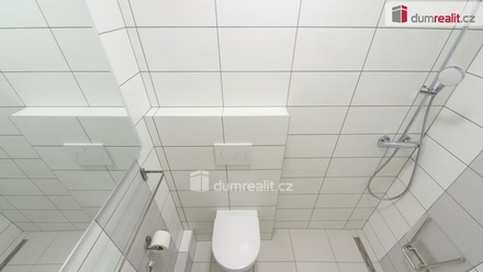 Pronájem bytu 1+1 30 m², Kladno