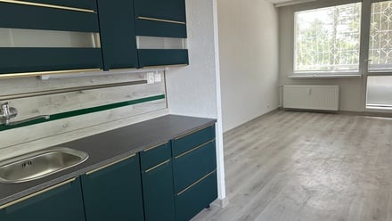 Prodej bytu 2+1 54 m², Bílina - Újezdské Předměstí
