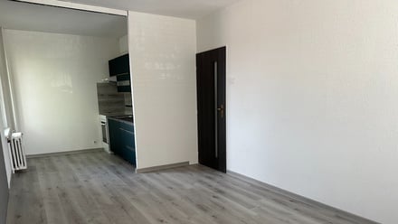 Prodej bytu 2+1 54 m², Bílina - Újezdské Předměstí