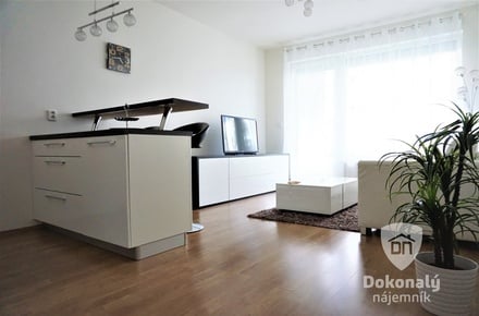 Pronájem bytu 1+kk 30 m², Praha - Zličín