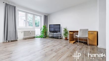 Pronájem bytu 1+1 45 m², Prostějov