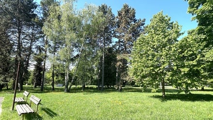 Pronájem bytu 3+1 72 m², Brno - Lesná