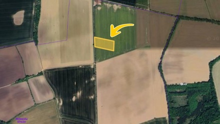 Prodej podílu 2/9 pole 2 771 m², Kratonohy