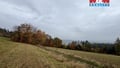 Prodej lesa 6 855 m², Jestřebí