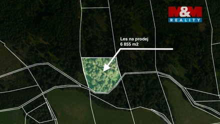 Prodej lesa 6 855 m², Jestřebí