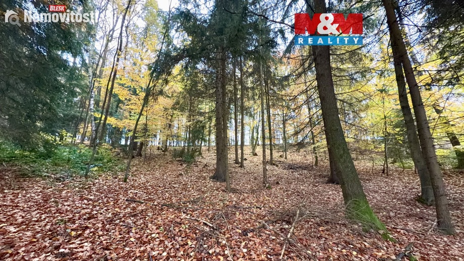 Prodej lesa 6 855 m², Jestřebí